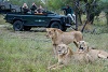 Sabi Sabi’s Selati Camp, South Africa